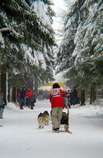 Sled Dog Racing
