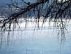 Ice on the Lake