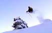 Winter Sports