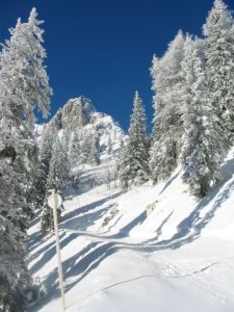 Slovenia