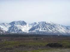 Denali Park Alaska