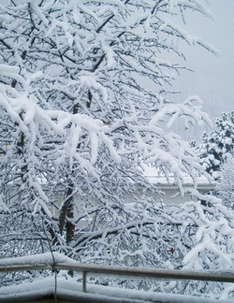 Just Some Fresh Snow