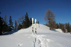 Ski Holidays in Bulgaria
