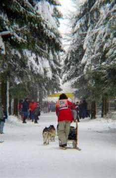 Sled Dog Racing