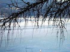 Ice on the Lake