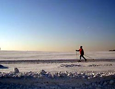 Cross-Country Skiing