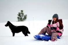Sledding