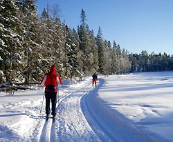 Ski trail in Norway