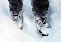 Winter Walking