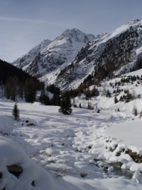 ski resort