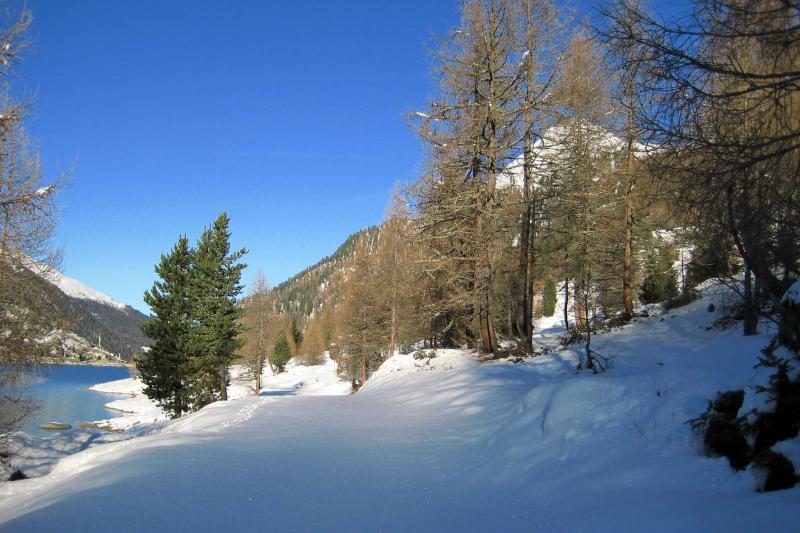 Snow-covered path beside a wooden fence in the mountains