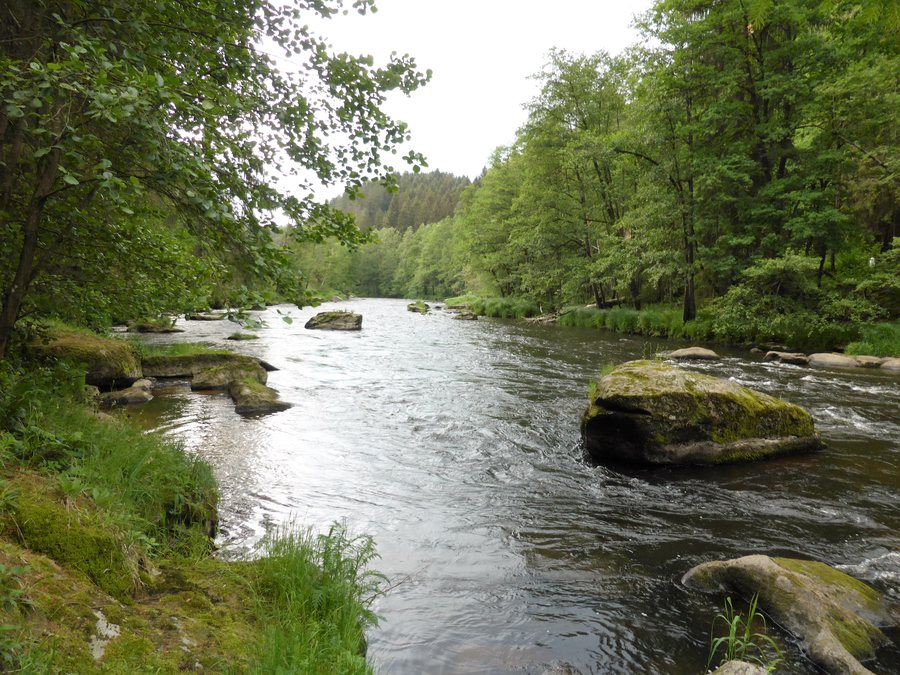 File:Flusstal des Schwarzen Regen.jpg