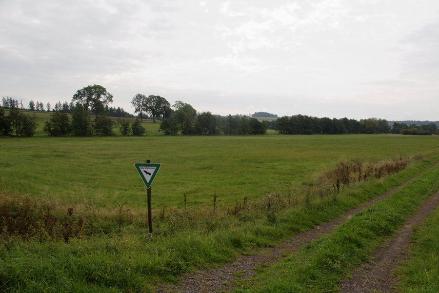 File:Duttelswiese NR 162827 near Bermuthshain Grebenhain S.png