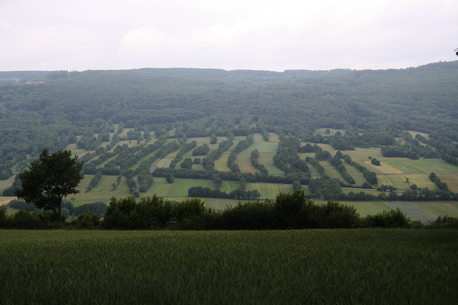 File:Blick vom Gebiet südlich von Unterweißenbrunn nordwärts auf die Heckenzüge südlich des Bauersbergs.jpg