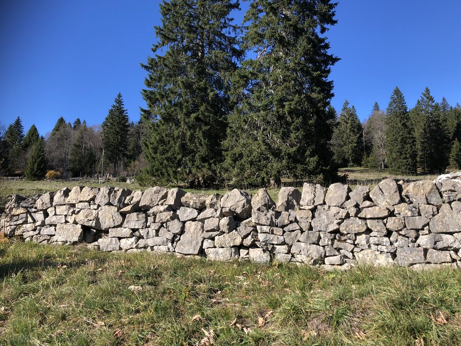 File:Mur de pierres sèches - La Vue des Alpes.jpg