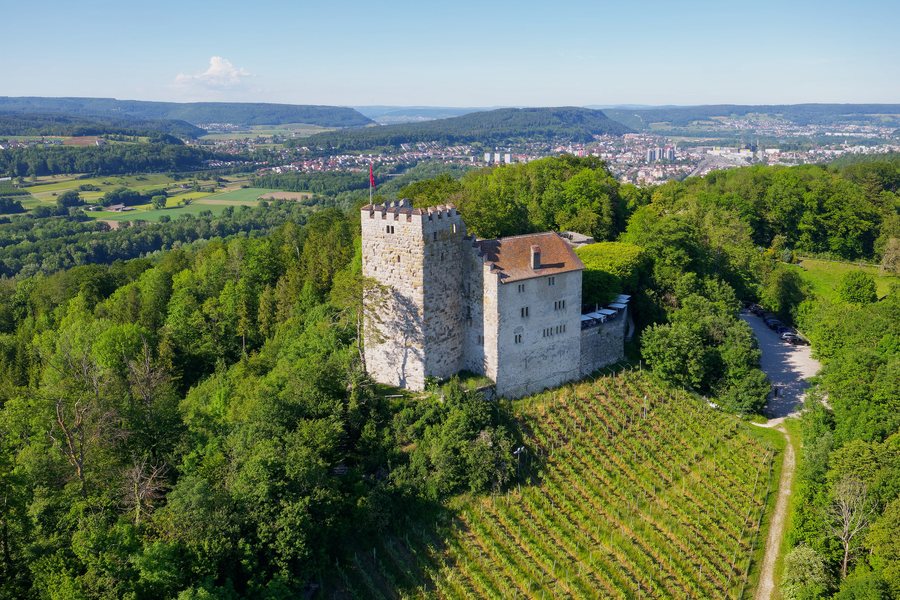 Habsburg Castle