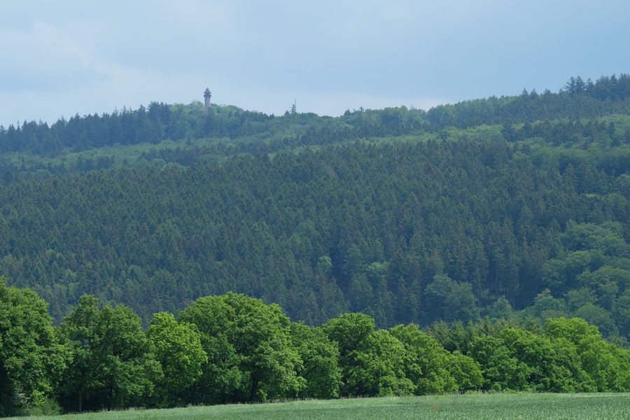 File:Wildenburger Kopf, von Sensweiler gesehen.jpg