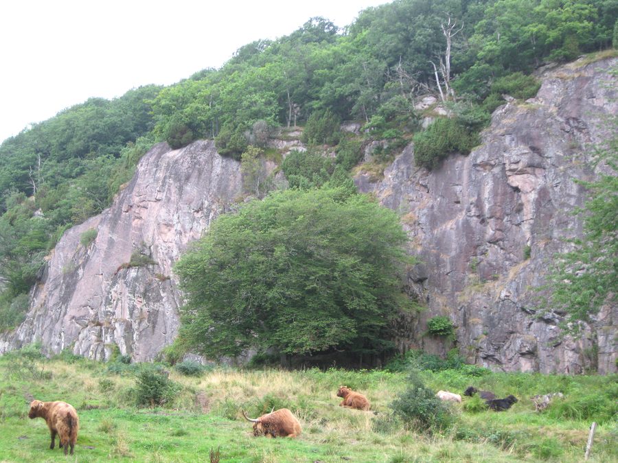 Ekkodalen im Waldgebiet Almindingen auf Bornholm