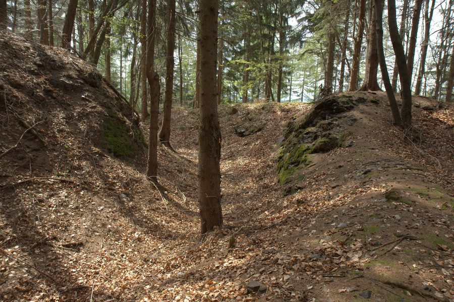 Blick in den nördlichen Teil des Ringgrabens am Burgstall Schlosshügel nahe Weidenberg