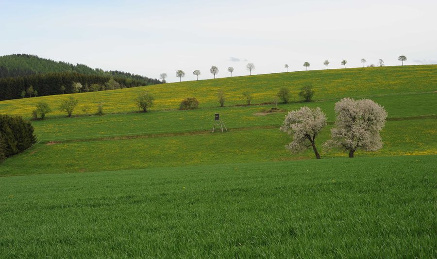 Landschaft nördlich von Hermsdorf/Erzgebirge an der Straße nach Schönfeld