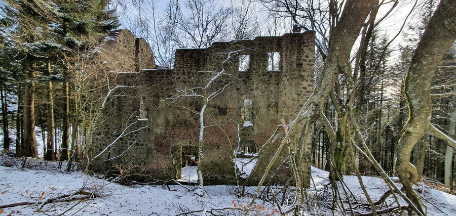 File:Freudenkoppe oder Burg Freudenkoppe, Ruine einer Höhenburg, einen Kilometer südöstlich von Neroth auf dem Nerother Kopf; Vulkaneifel (1).jpg
