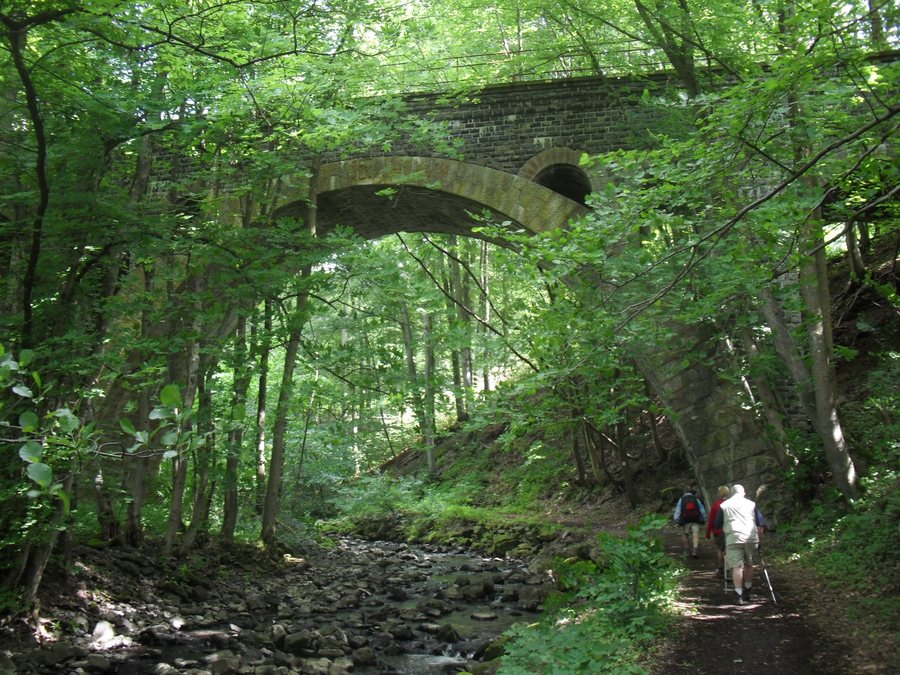 File:Nistarbrug nabij Bad Marienberg - Duitsland.jpg