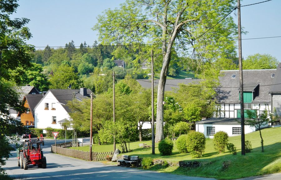 Blick auf Mollseifen in waldreicher Umgebung