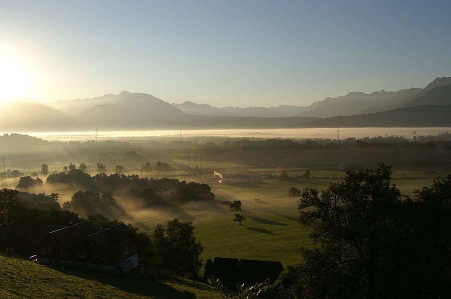 Morgennebel im Rheintal zwischen Lienz und Altstätten