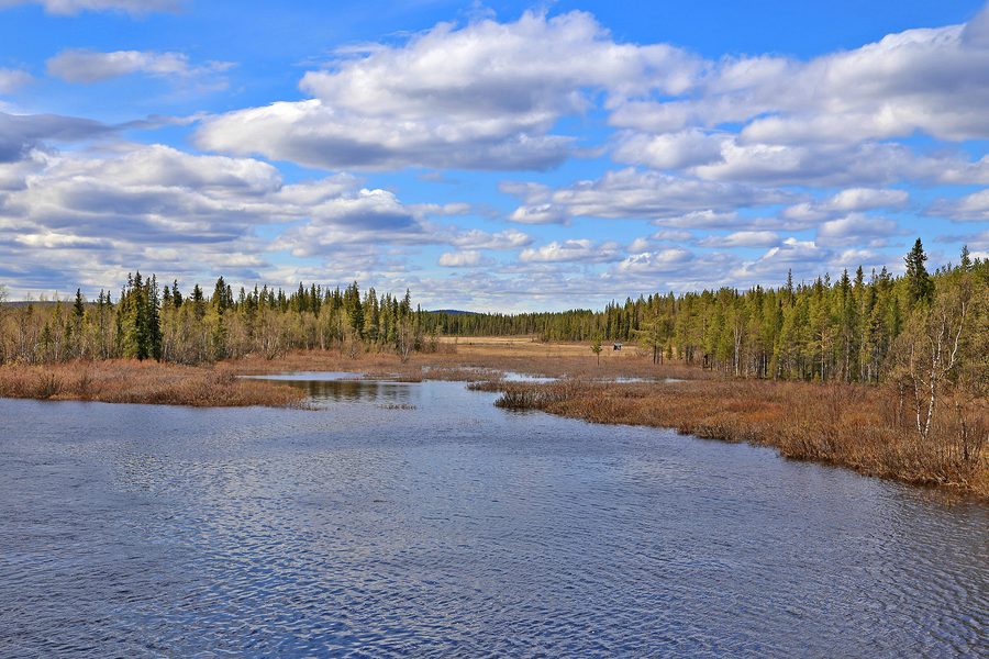 Verschneite Landschaft nahe Karesuando in Norrbottens län