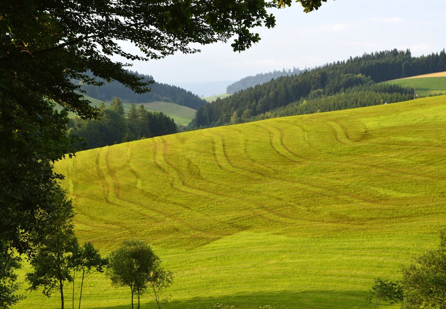 File:Gülle gedüngteWiese bei Rohrbach OÖ.jpg