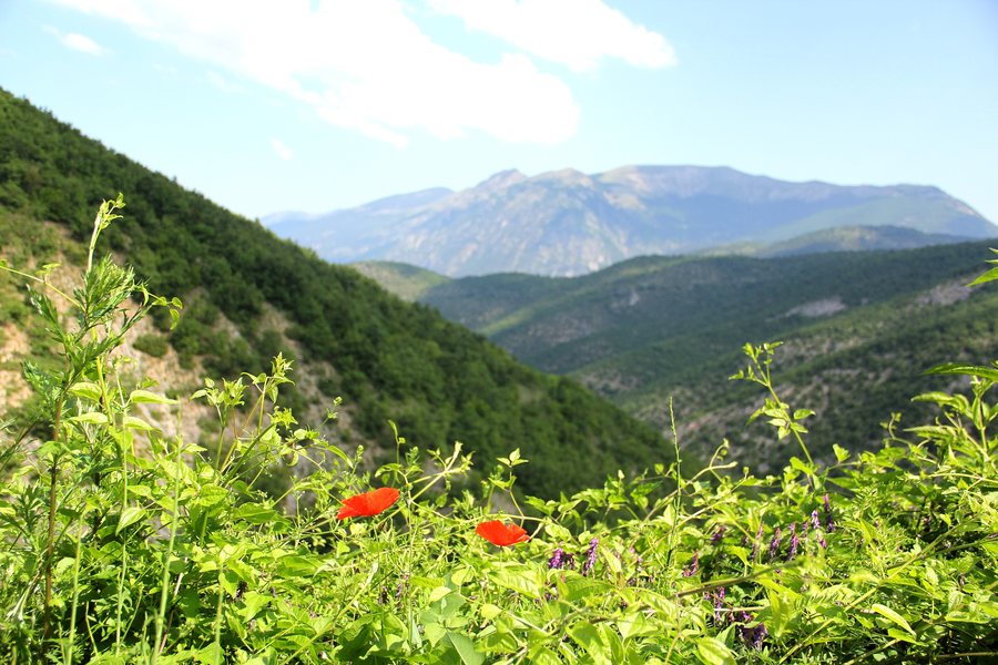 File:Abruzzo Cansano.jpg