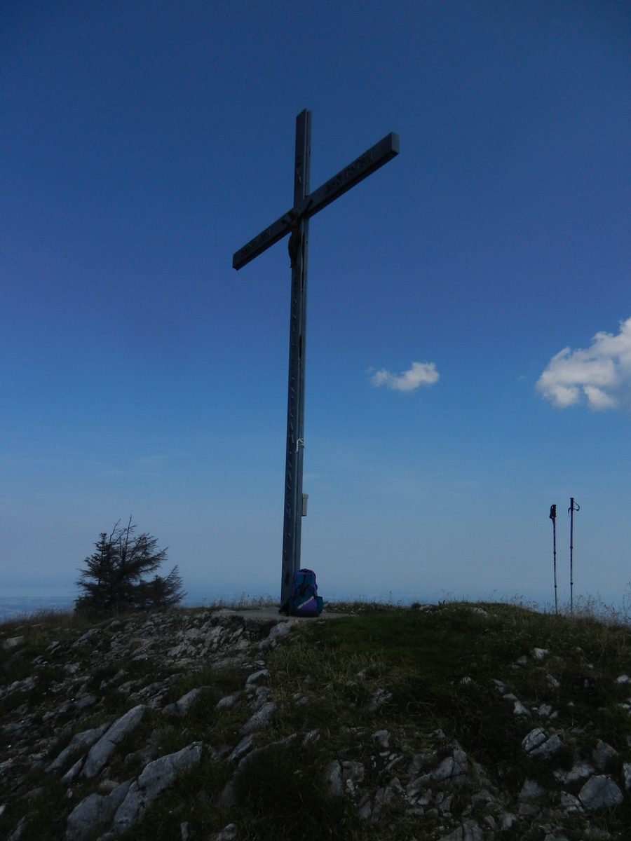 Blick vom Streicher über die alpine Landschaft in Richtung Chiemsee