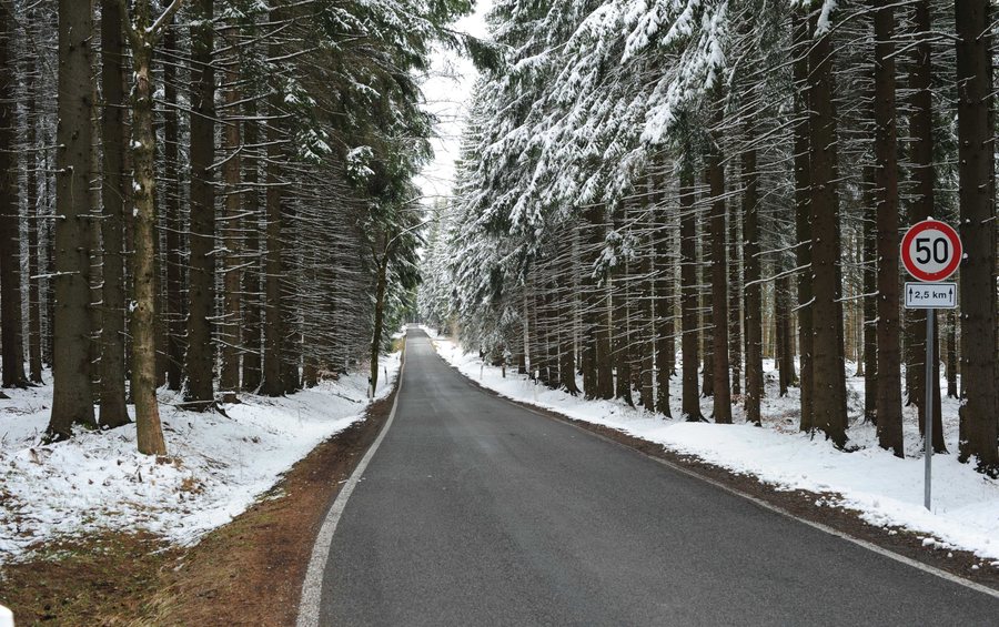 File:Marienberg-Gelobtland, flügel f (2) - saxony.jpg