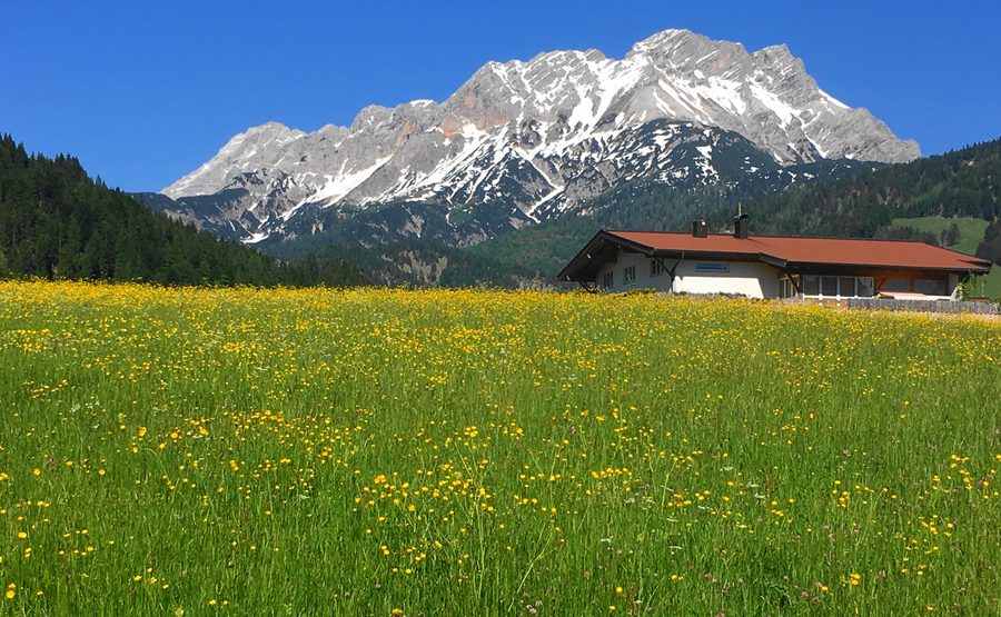 Winterliche Hohe Salve bei Söll in Tirol