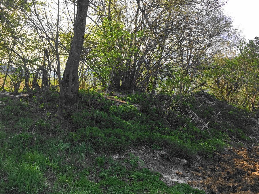 Erhaltene Mauerreste der Hadnmauer im Gailtal