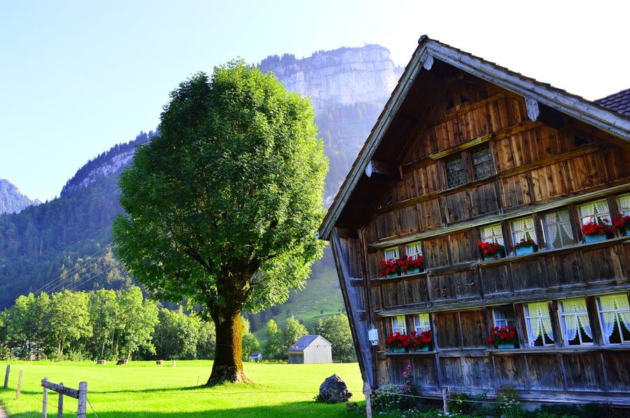 Blick auf Hundwil mit dem Alpsteinmassiv im Hintergrund