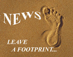 France in winter 2010-2011: updates and discounts