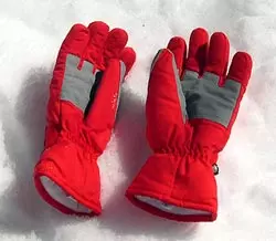 Ski gloves
